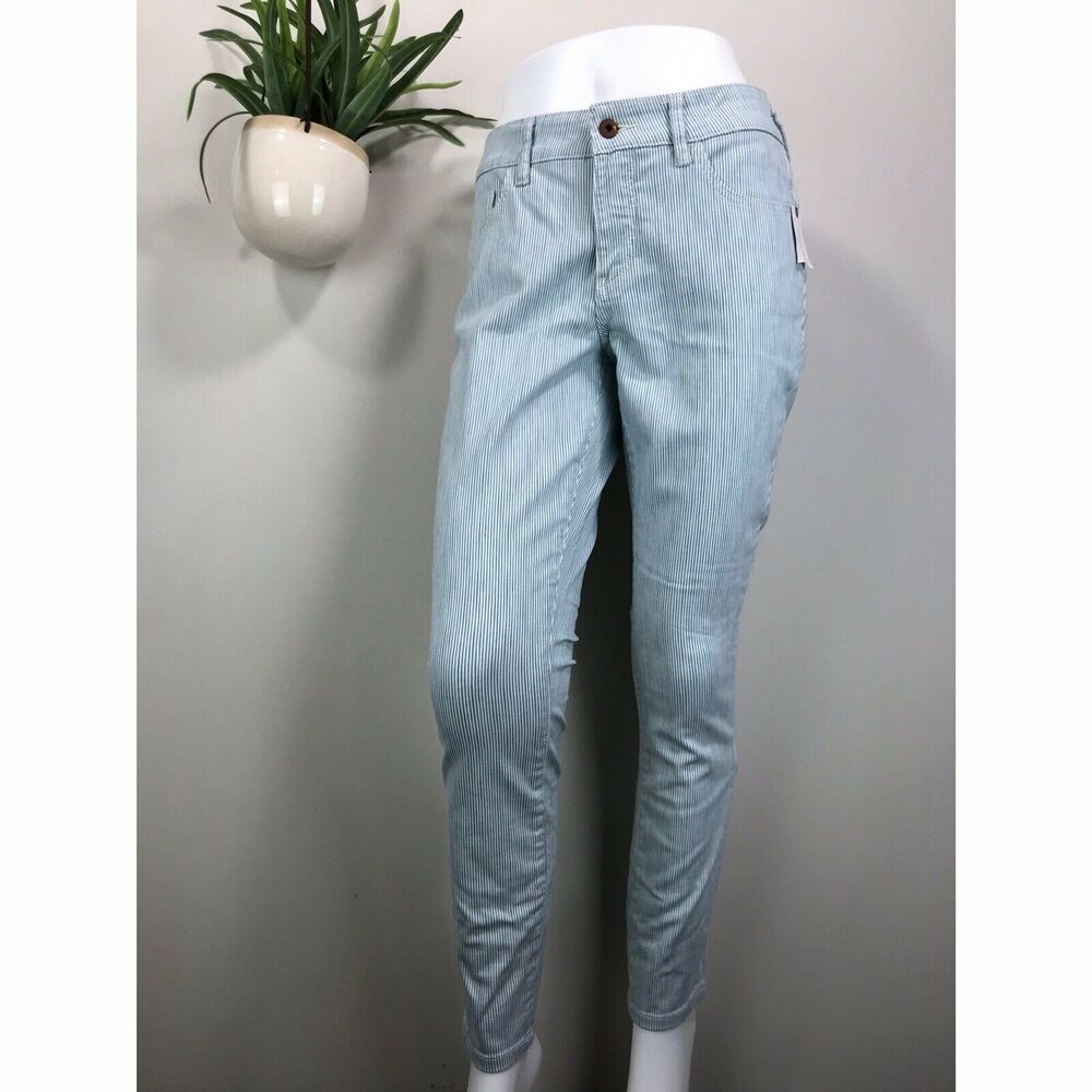 Anthro Pilcro Letterpress Mid Rise Skinny Jeans Blue Stripe Ankle Pants‎ Size 29